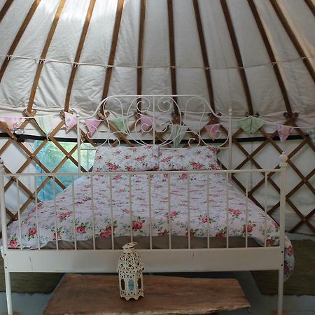Mill Haven Place Glamping-Yurt 1 Talbenny Zewnętrze zdjęcie