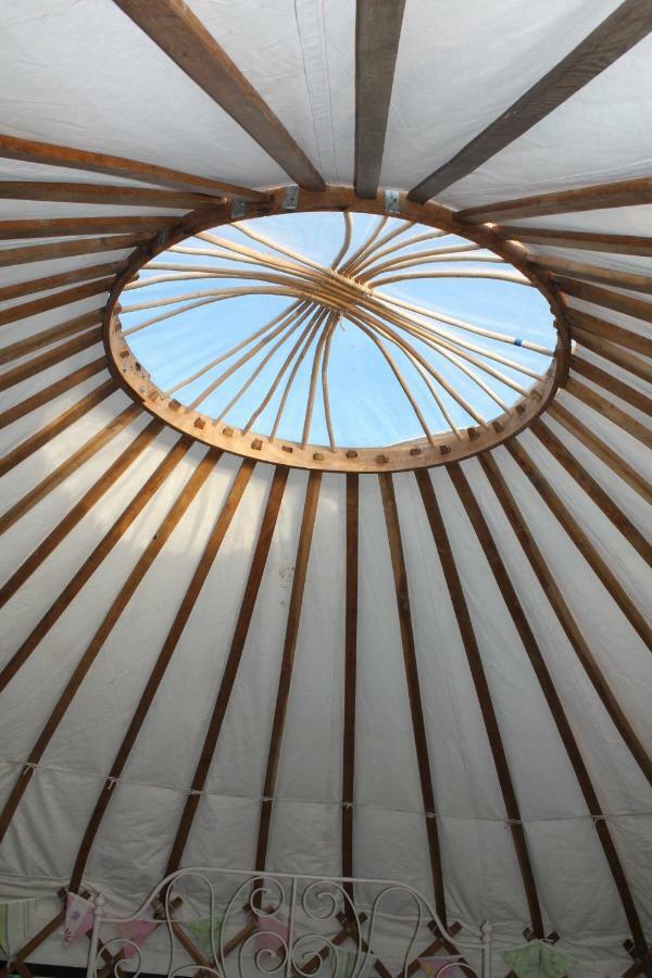 Mill Haven Place Glamping-Yurt 1 Talbenny Zewnętrze zdjęcie