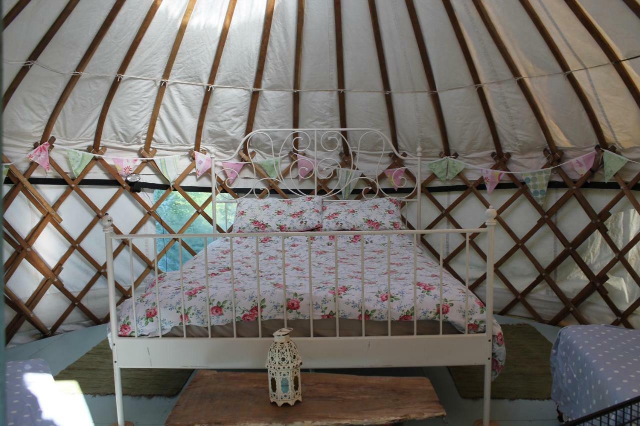 Mill Haven Place Glamping-Yurt 1 Talbenny Zewnętrze zdjęcie