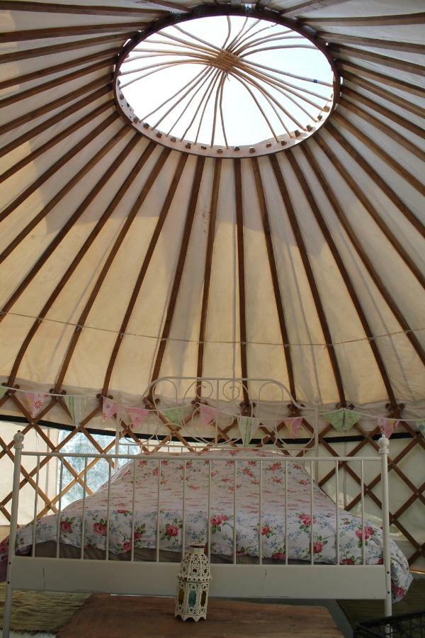 Mill Haven Place Glamping-Yurt 1 Talbenny Zewnętrze zdjęcie