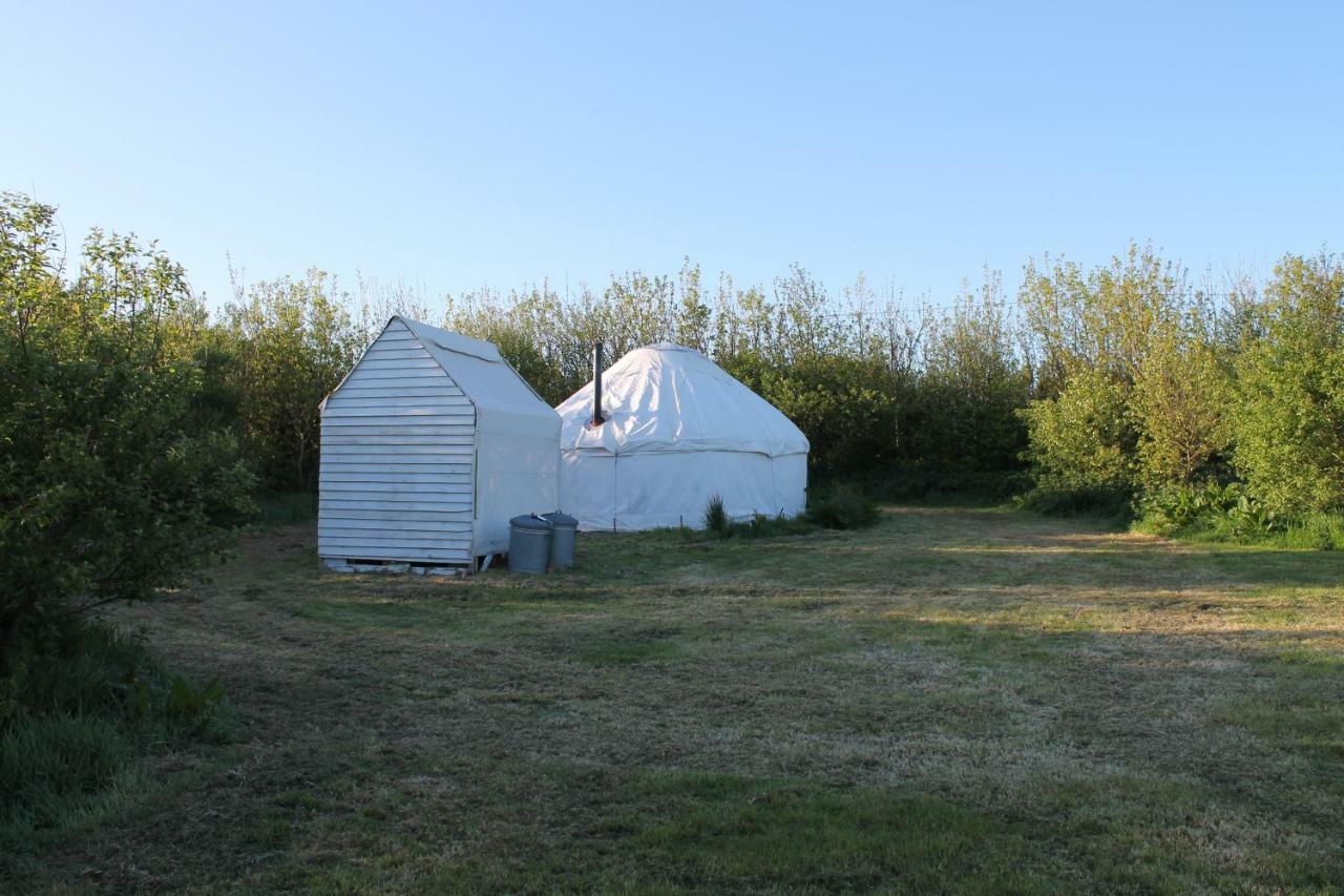 Mill Haven Place Glamping-Yurt 1 Talbenny Zewnętrze zdjęcie